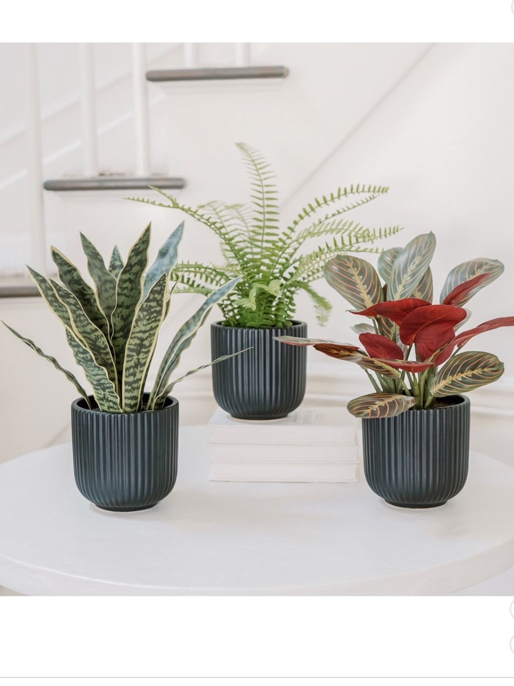 Set of 3 Dark Teal Ribbed Ceramic Planters with Faux Green & Red Plants by CGH